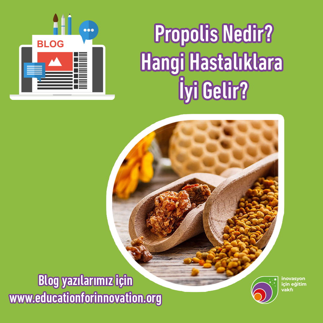 propolis-nedir-faydalari-nelerdir
