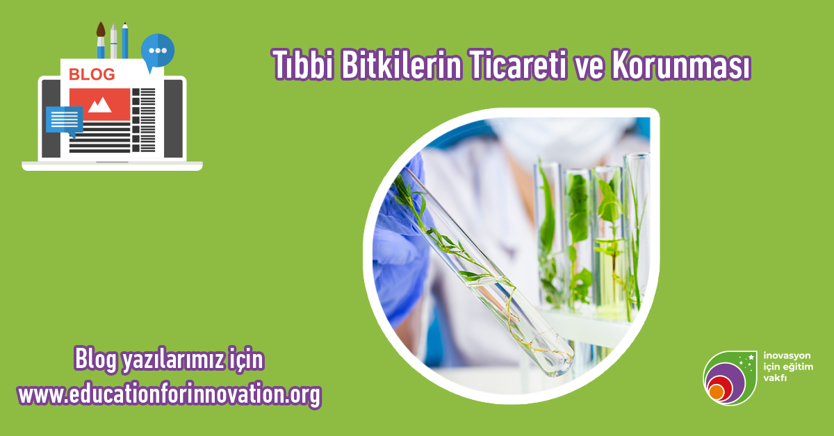 tibbi-bitkiler-icin-ticaret-ve-korunma